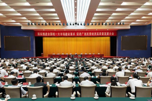 广西邀民营企业携手打造面向东盟人工智能国际合作高地